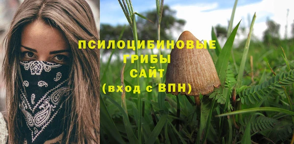 spice Алексин
