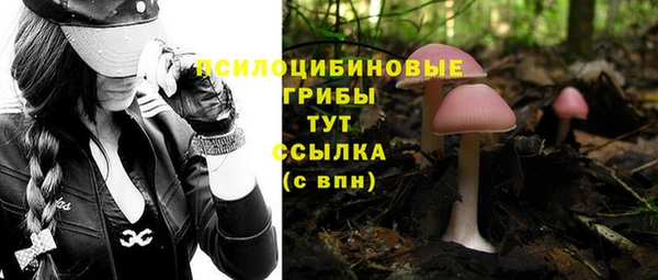 круглые Алзамай