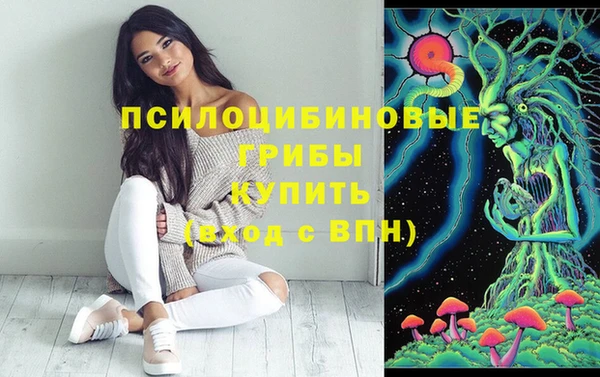 круглые Алзамай