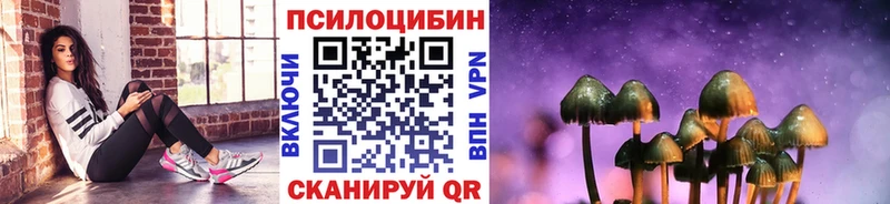 цена   Гдов  Псилоцибиновые грибы Psilocybine cubensis 